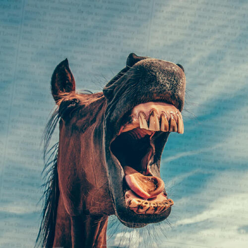 The Female Horse Thief